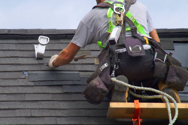 Best Affordable Roof Replacement  in Olivet, MI