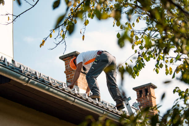Best Flat Roof Repair Services  in Olivet, MI