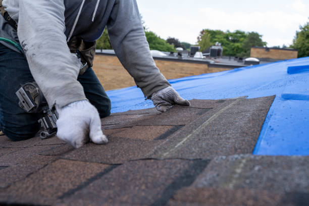 Best Roof Leak Repair  in Olivet, MI